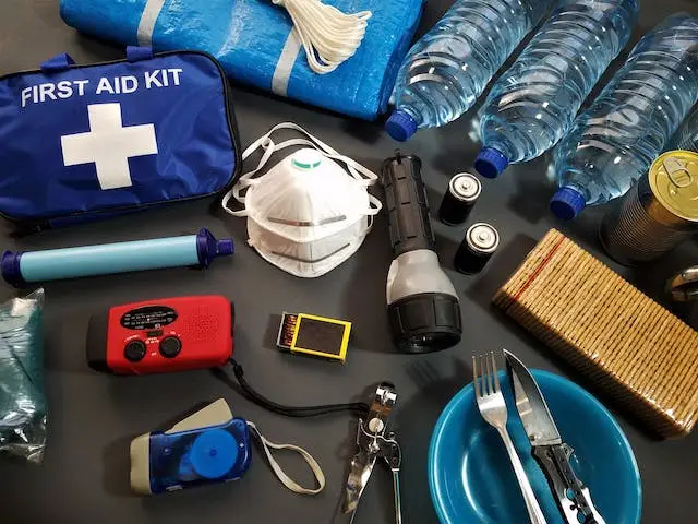 Global First Aid and Mental Health Training (Online)